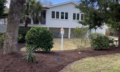 Palm Cottage